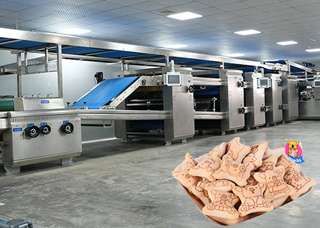 800type Bear Biscuit Line Under Production